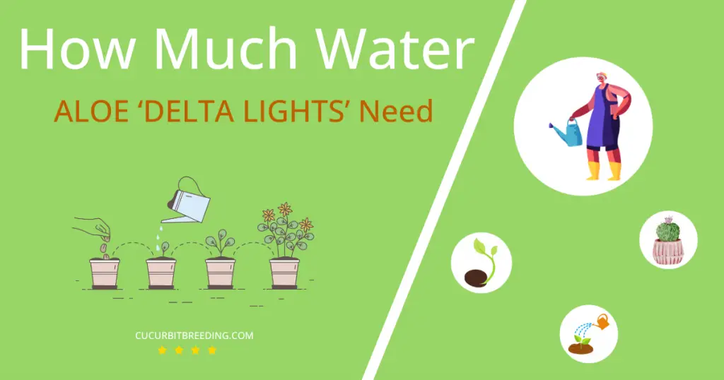 how often to water aloe delta lights