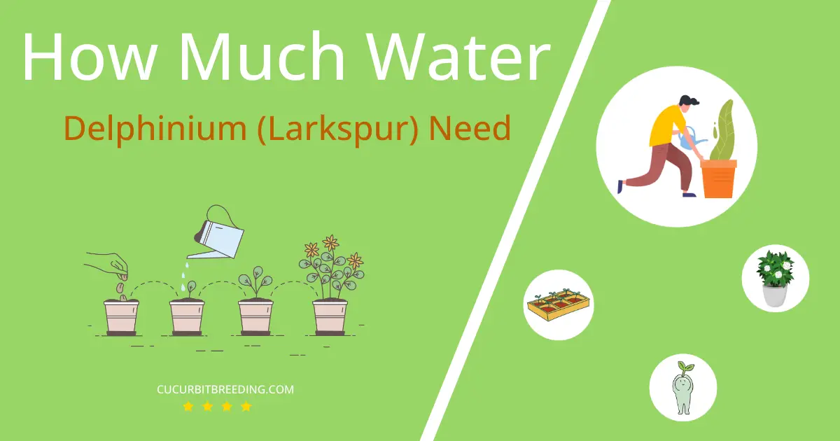 how often to water delphinium larkspur