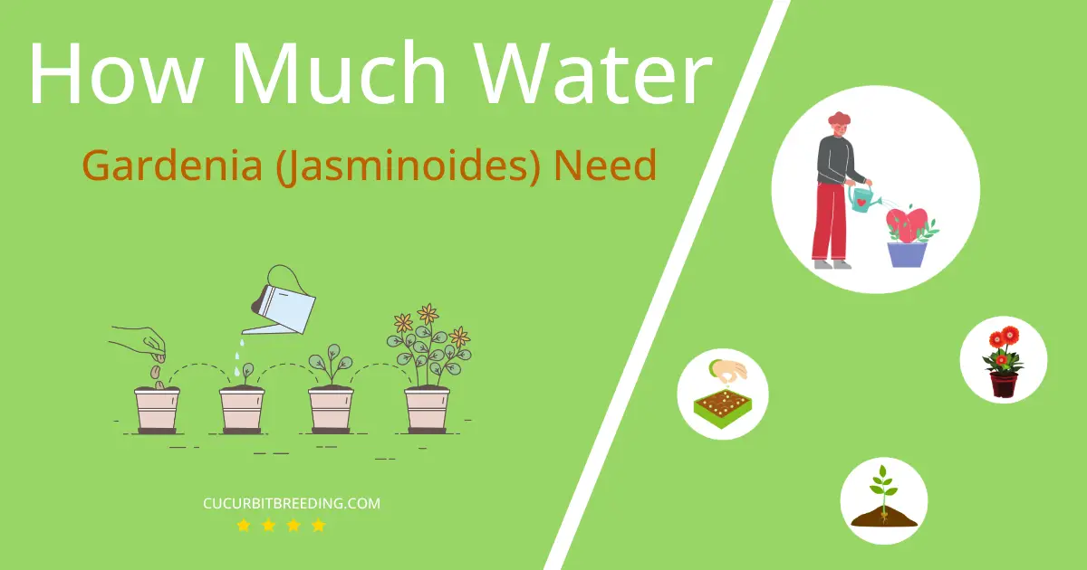 how often to water gardenia jasminoides