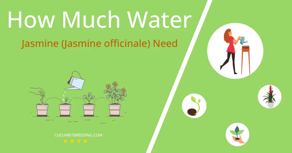 how often to water jasmine jasmine officinale