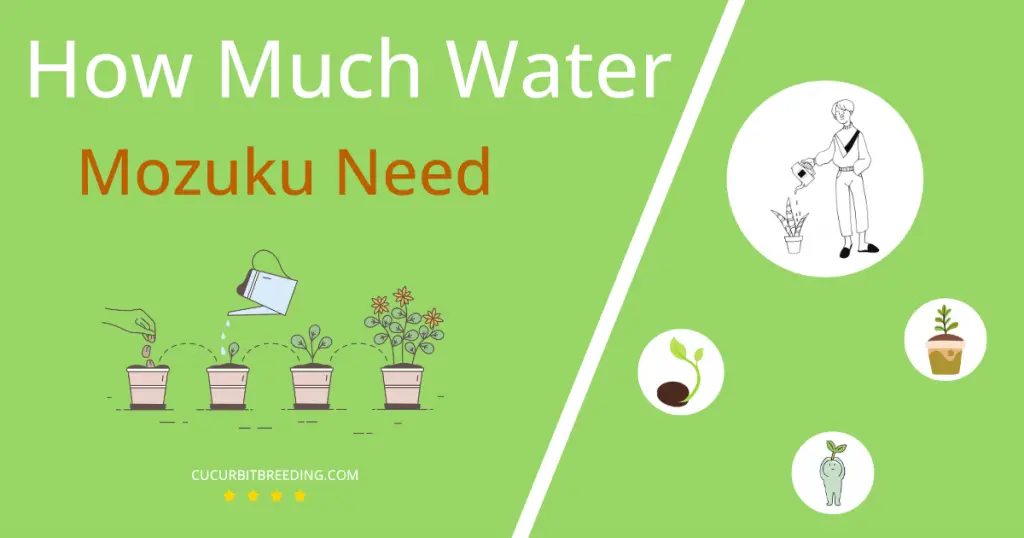 how often to water mozuku