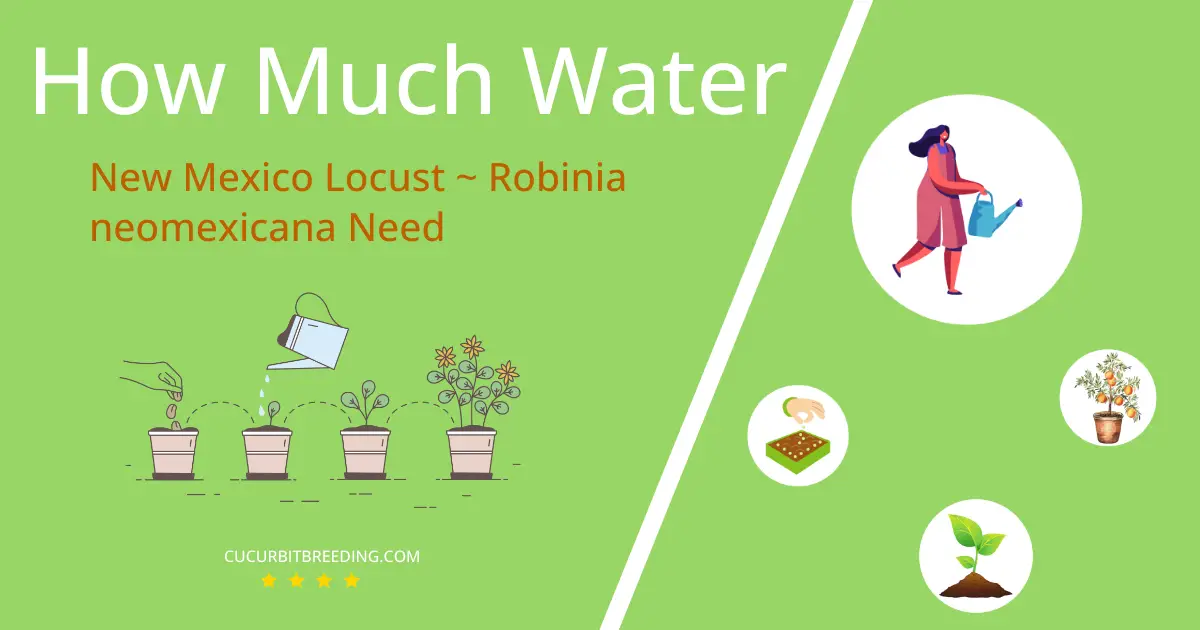 how often to water new mexico locust robinia neomexicana