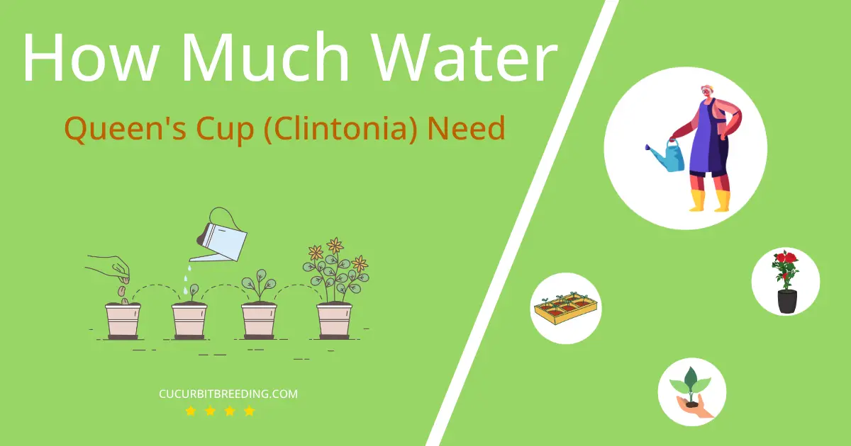 how often to water queens cup clintonia