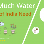how often to water song of india