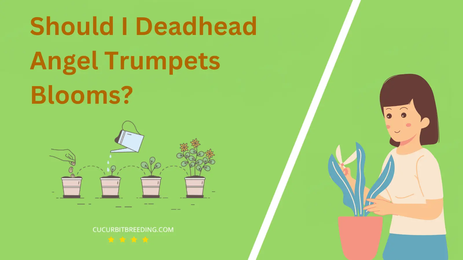 Should I Deadhead Angel Trumpets Blooms?