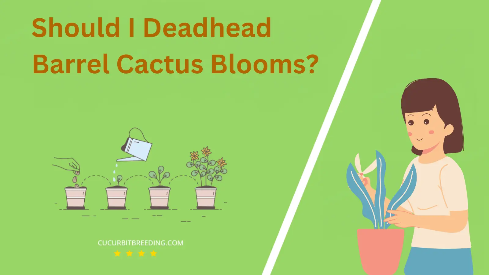 Should I Deadhead Barrel Cactus Blooms?