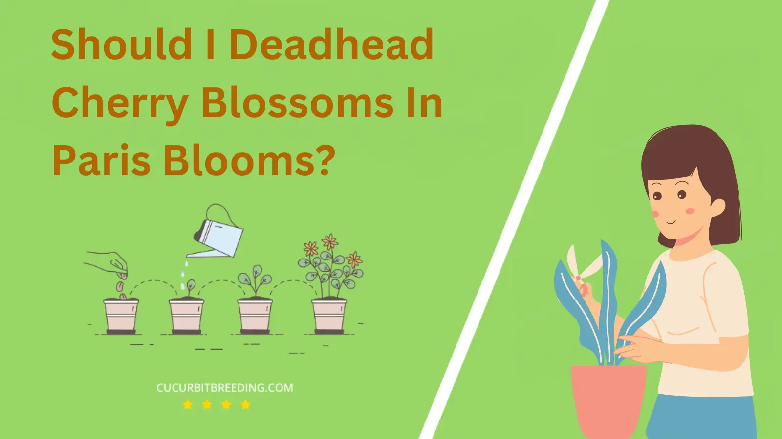 Should I Deadhead Cherry Blossoms In Paris Blooms?