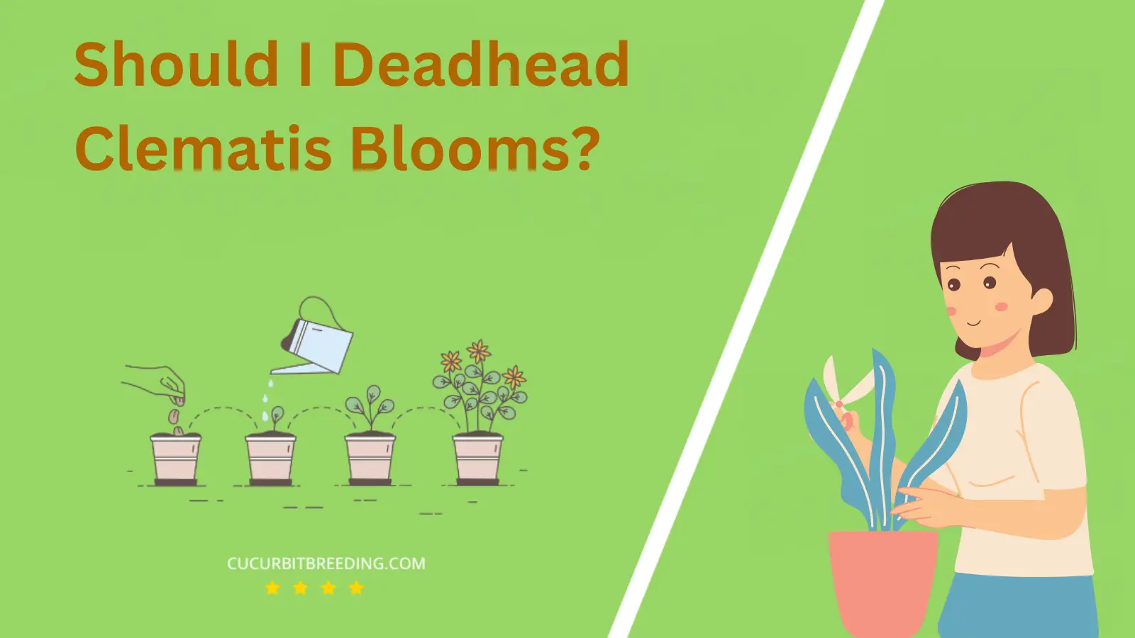 Should I Deadhead Clematis Blooms?