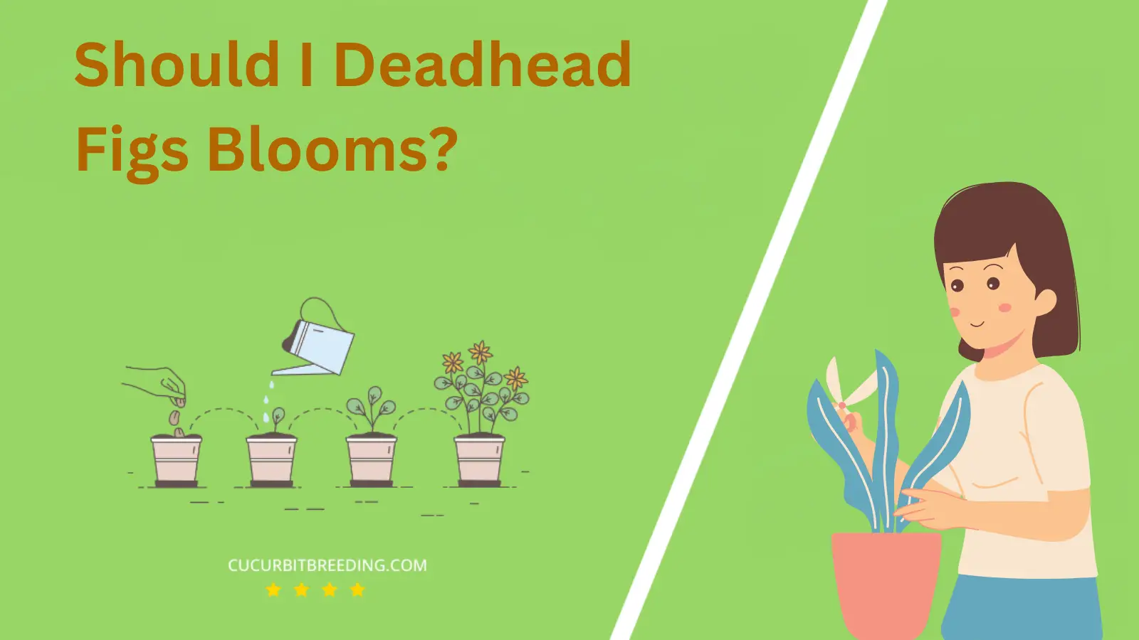 Should I Deadhead Figs Blooms?