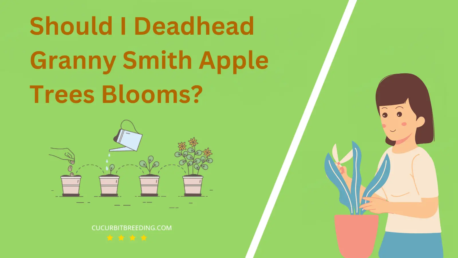 Should I Deadhead Granny Smith Apple Trees Blooms?