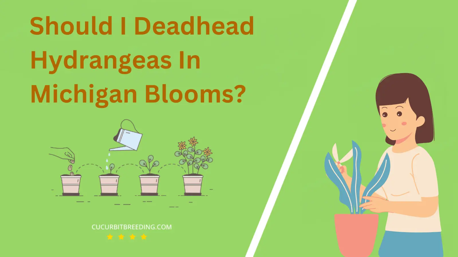Should I Deadhead Hydrangeas In Michigan Blooms?