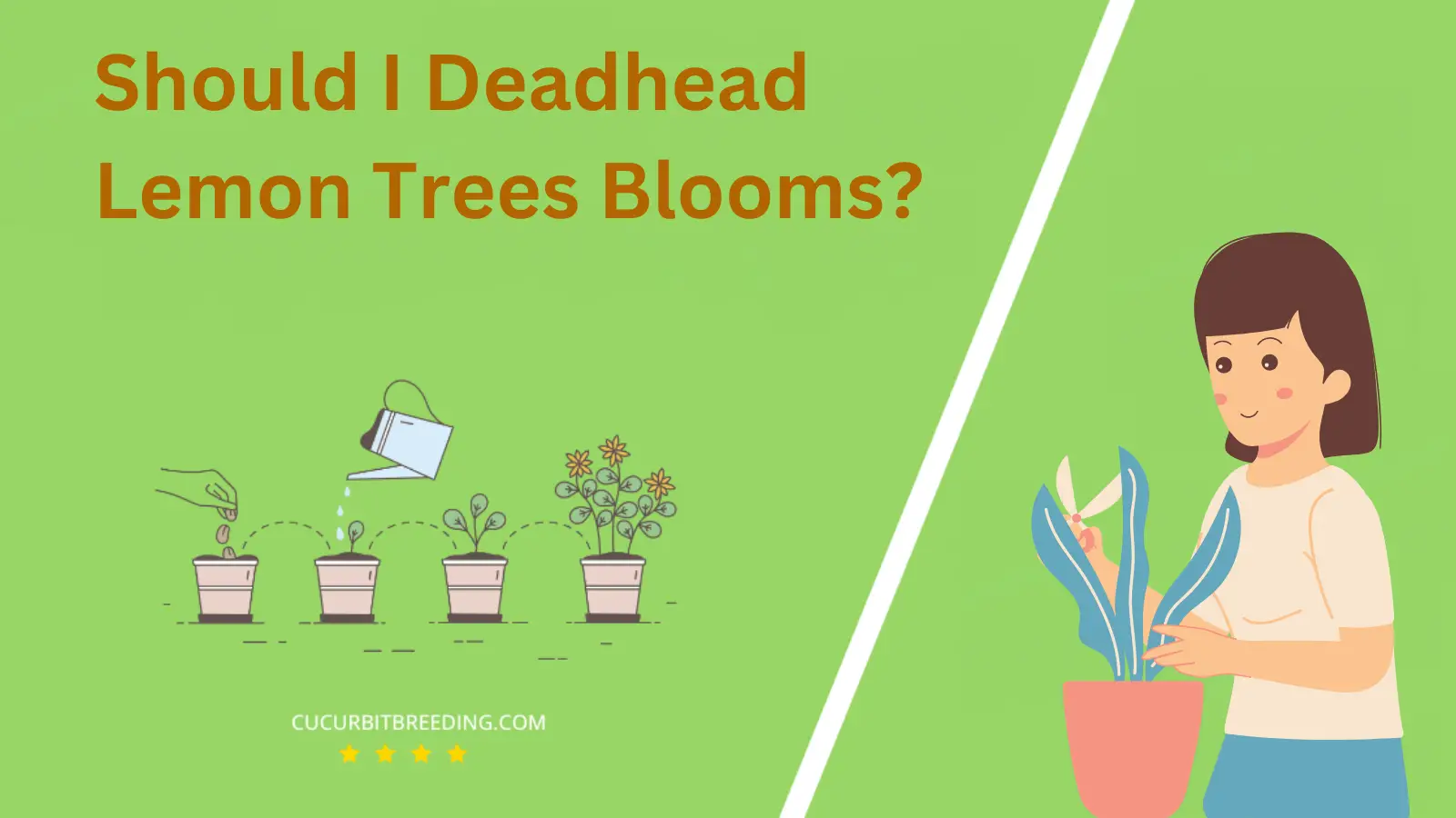 Should I Deadhead Lemon Trees Blooms?