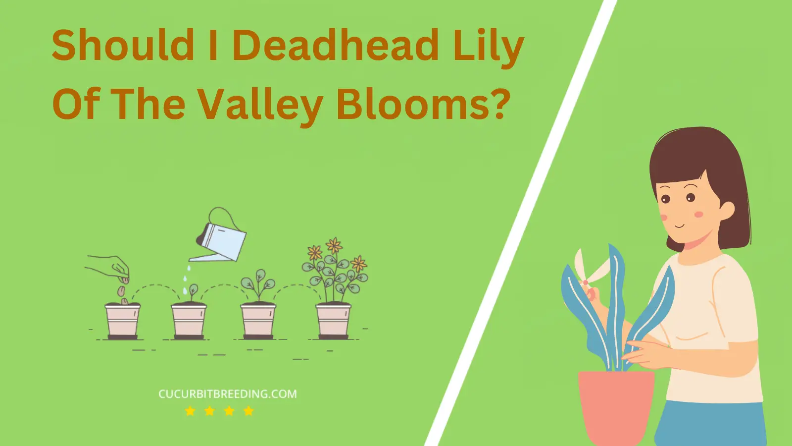 Should I Deadhead Lily Of The Valley Blooms?