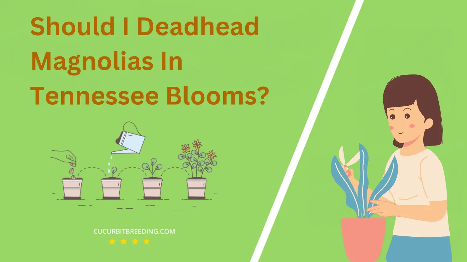Should I Deadhead Magnolias In Tennessee Blooms?