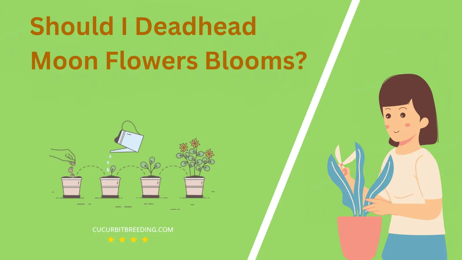 Should I Deadhead Moon Flowers Blooms?