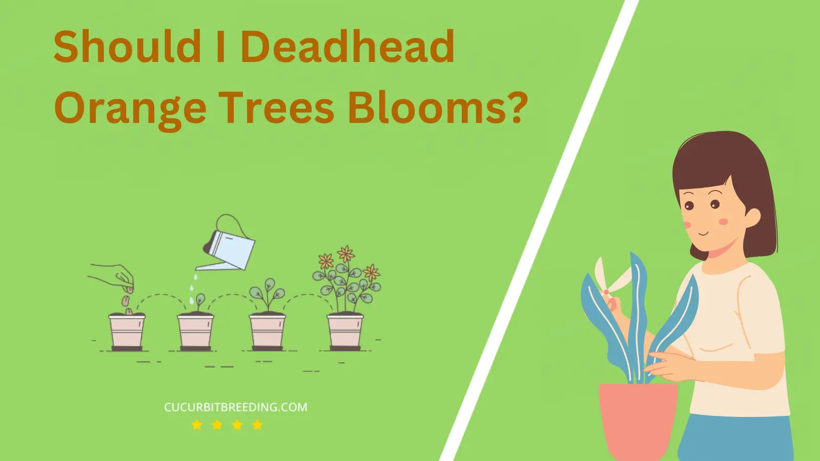 Should I Deadhead Orange Trees Blooms?