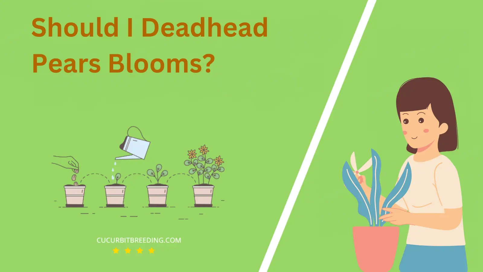 Should I Deadhead Pears Blooms?