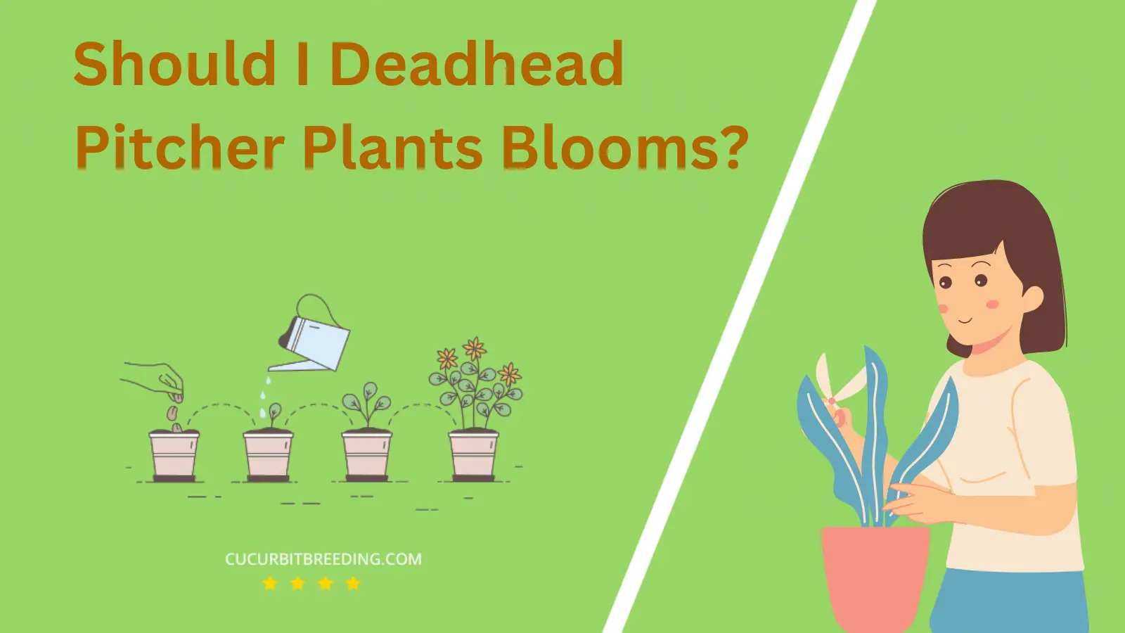 Should I Deadhead Pitcher Plants Blooms?