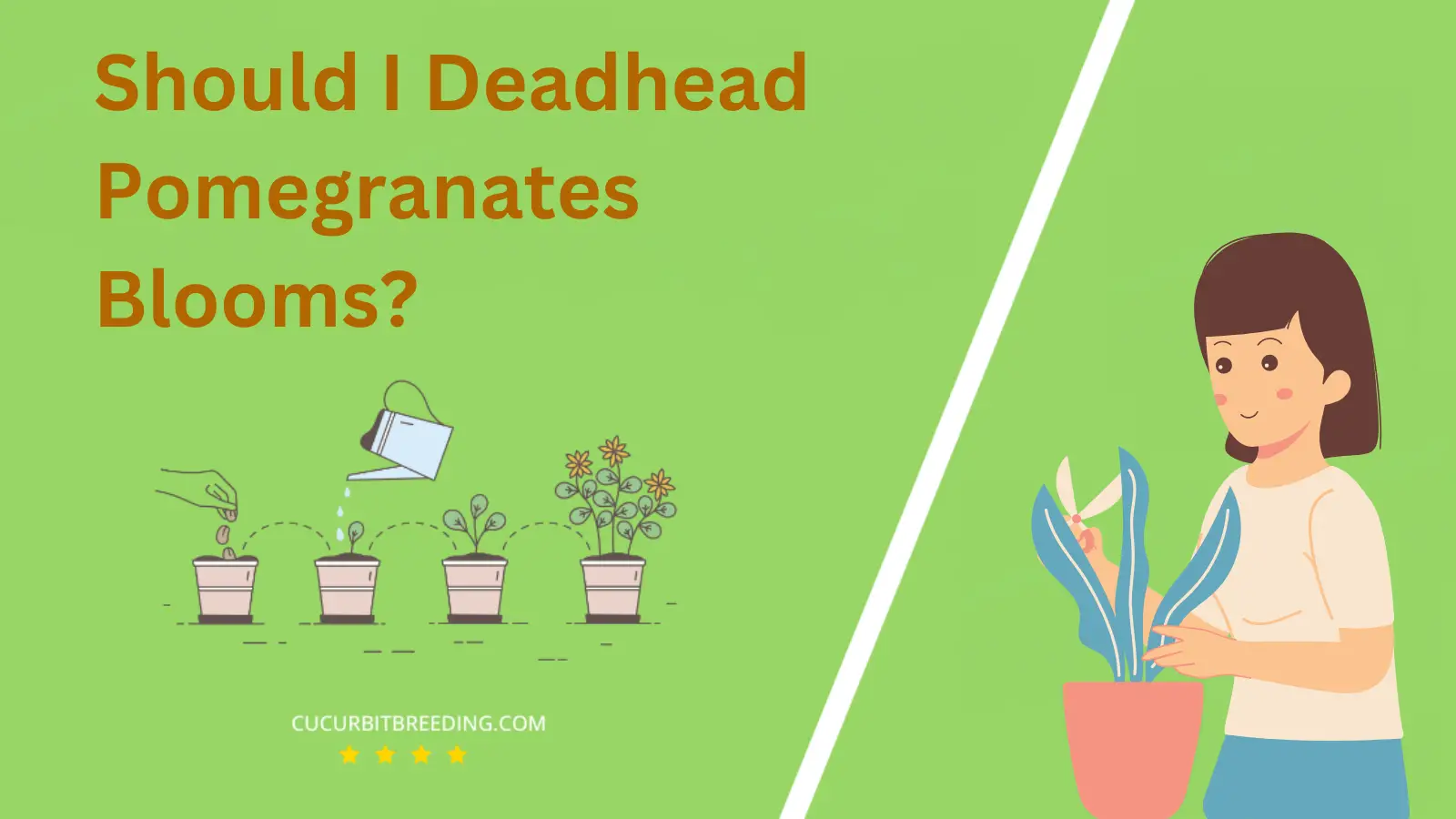 Should I Deadhead Pomegranates Blooms?