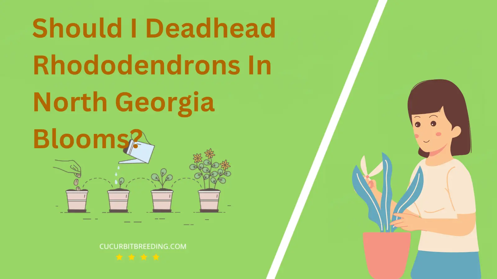 Should I Deadhead Rhododendrons In North Georgia Blooms?