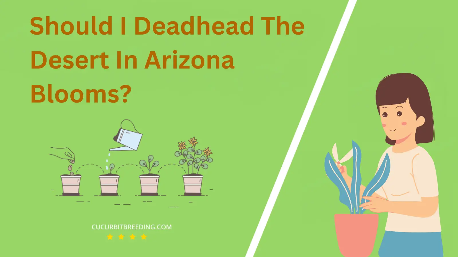 Should I Deadhead The Desert In Arizona Blooms?