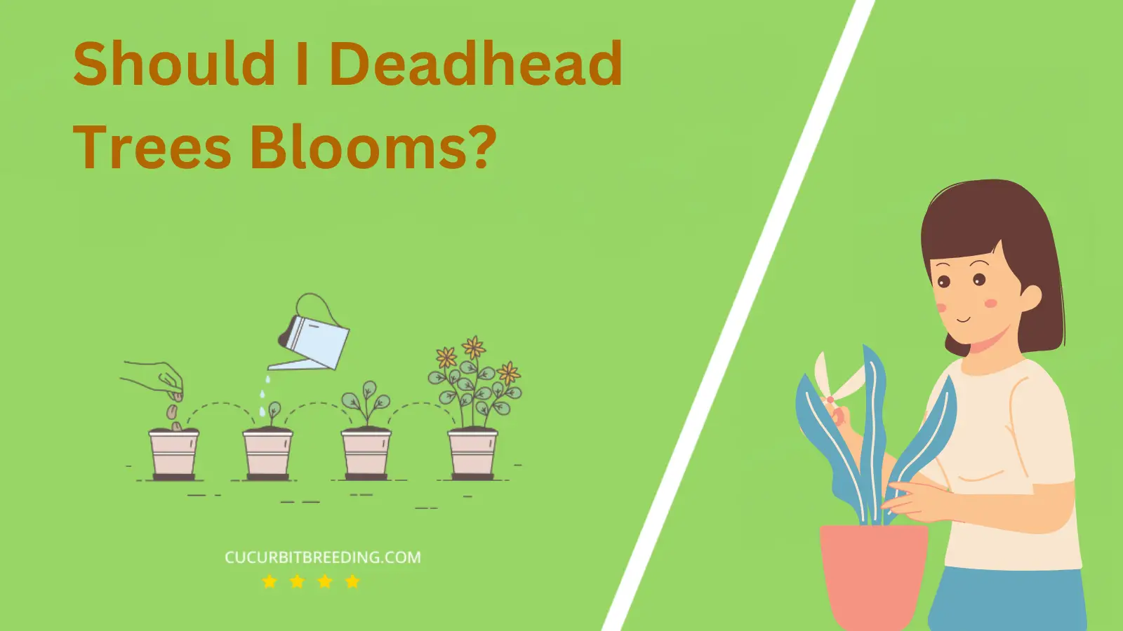 Should I Deadhead Trees Blooms?