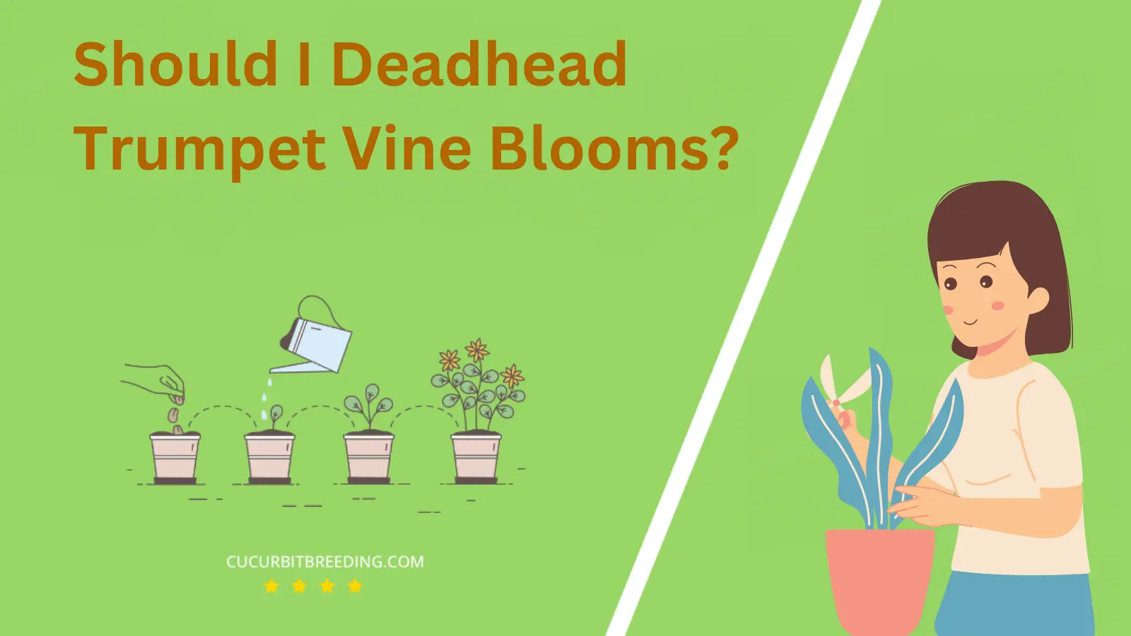 Should I Deadhead Trumpet Vine Blooms?