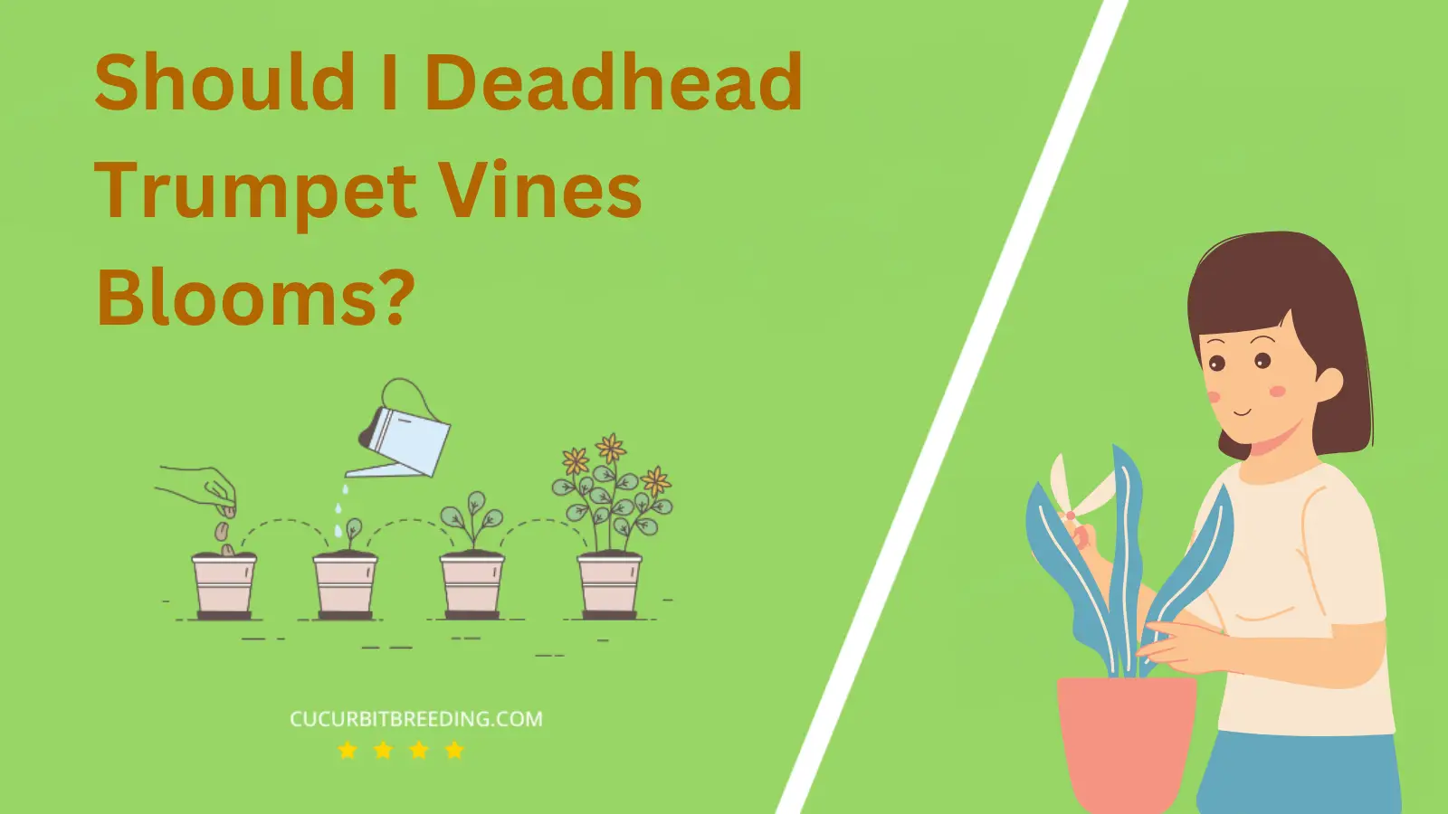 Should I Deadhead Trumpet Vines Blooms?