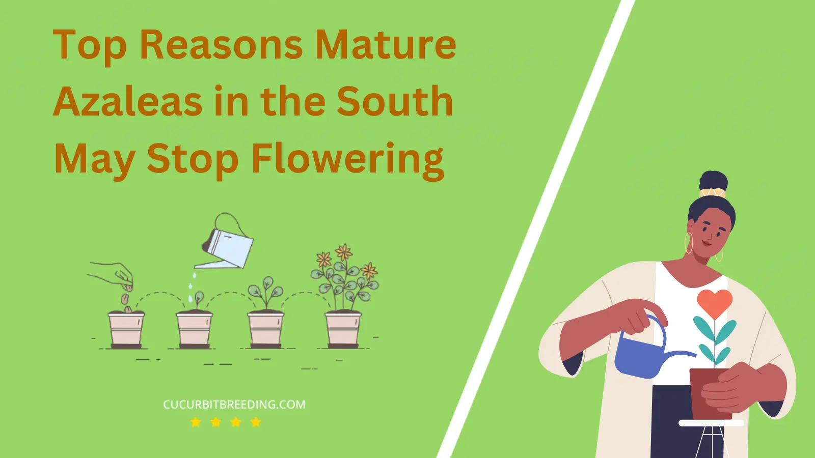Top Reasons Mature Azaleas in the South May Stop Flowering