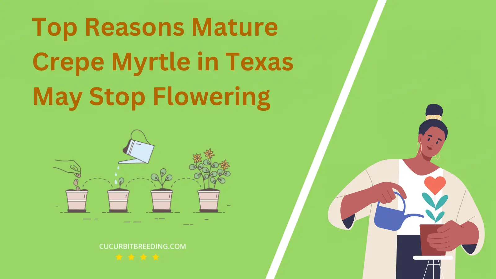 Top Reasons Mature Crepe Myrtle in Texas May Stop Flowering