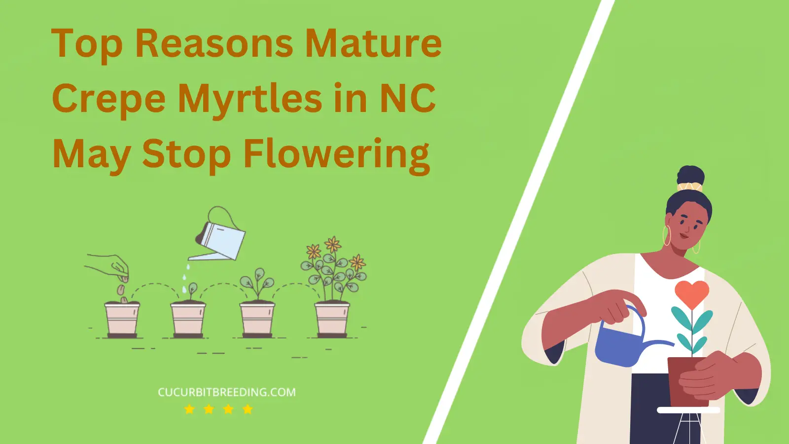 Top Reasons Mature Crepe Myrtles in NC May Stop Flowering