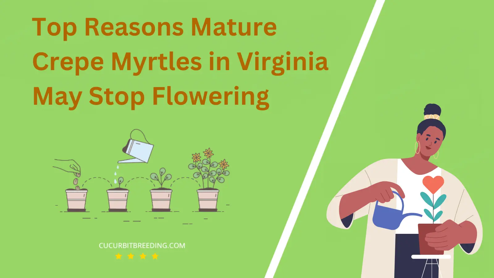 Top Reasons Mature Crepe Myrtles in Virginia May Stop Flowering