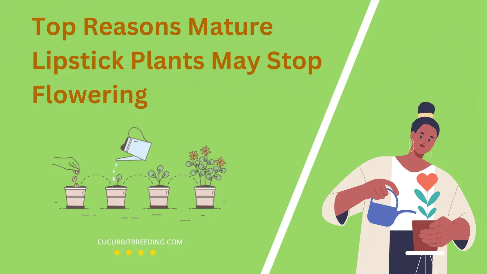 Top Reasons Mature Lipstick Plants May Stop Flowering