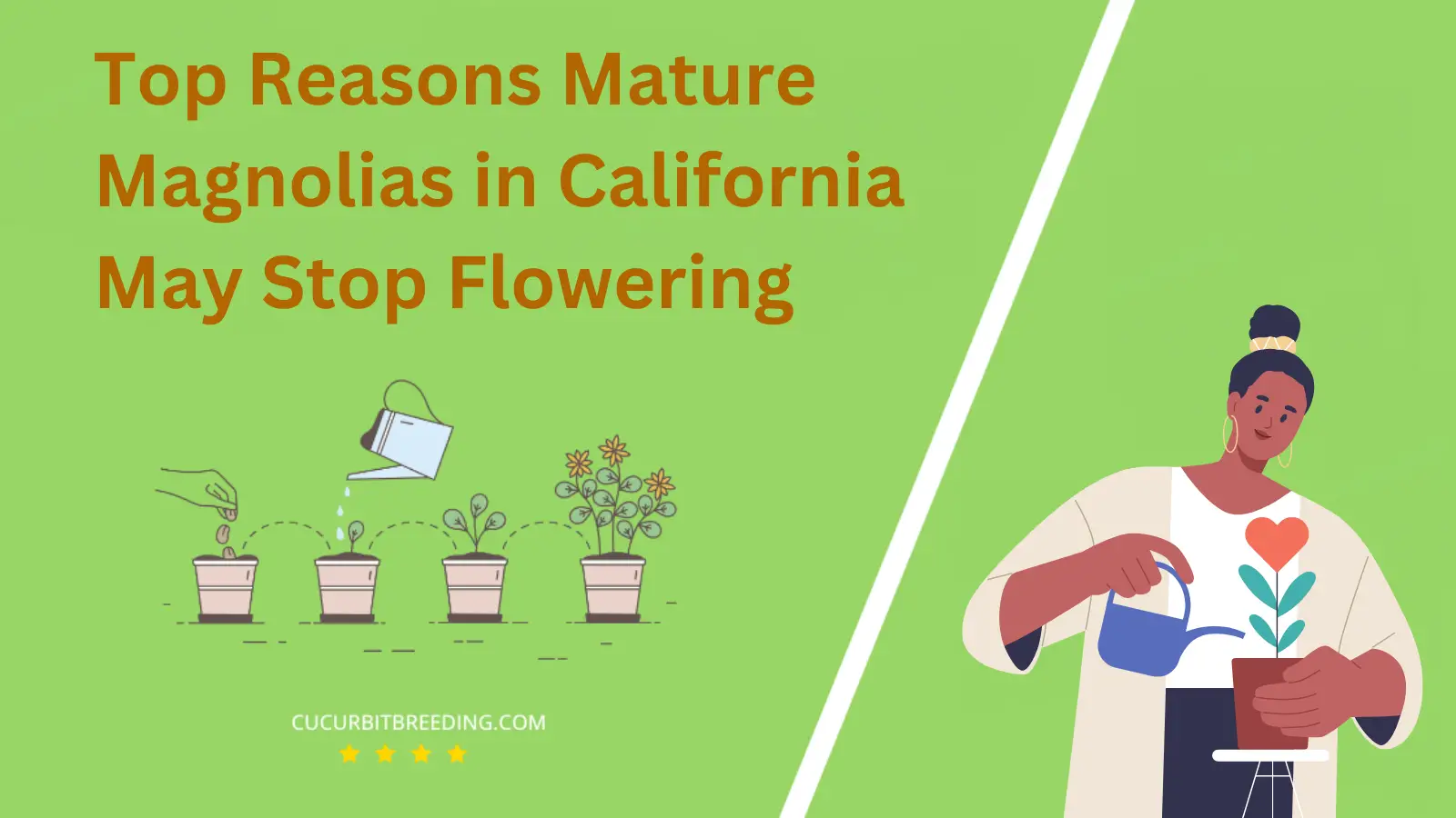 Top Reasons Mature Magnolias in California May Stop Flowering