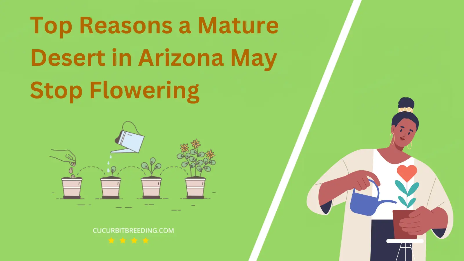 Top Reasons a Mature Desert in Arizona May Stop Flowering