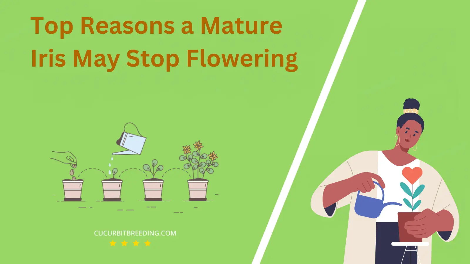 Top Reasons a Mature Iris May Stop Flowering