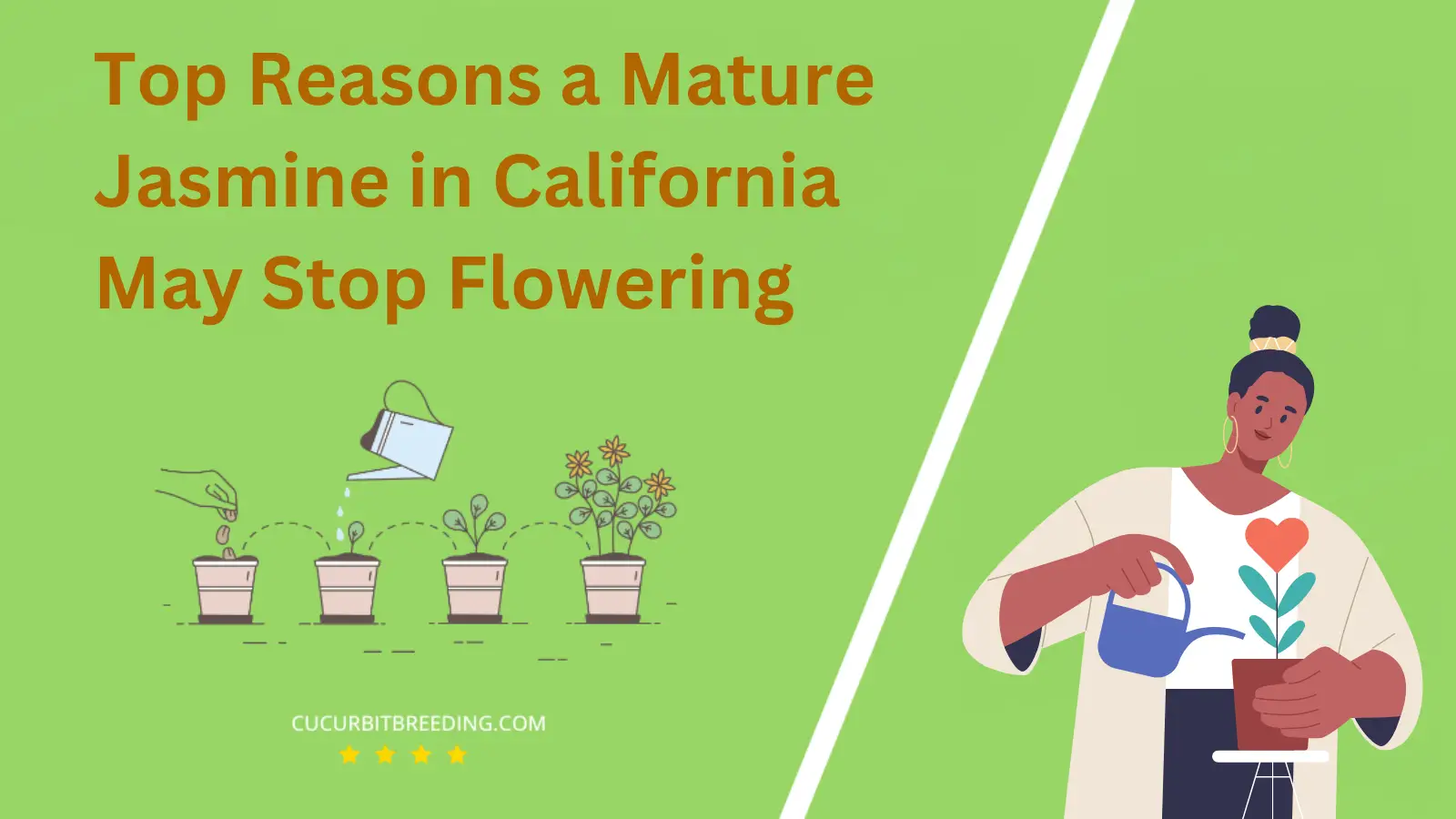 Top Reasons a Mature Jasmine in California May Stop Flowering