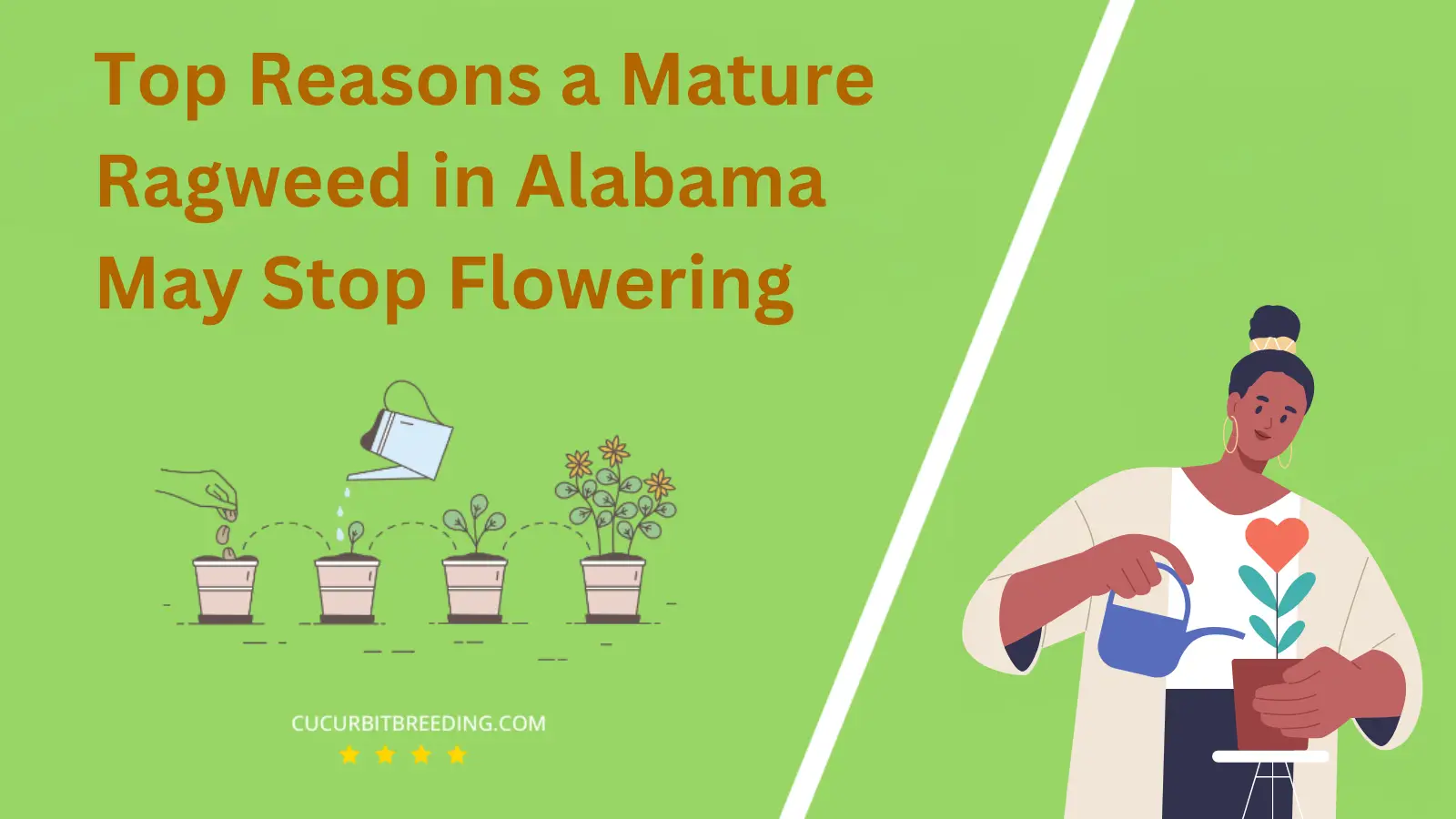 Top Reasons a Mature Ragweed in Alabama May Stop Flowering
