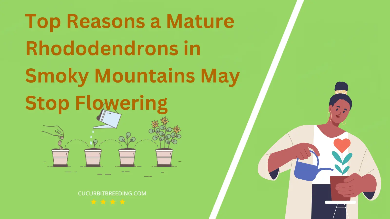 Top Reasons a Mature Rhododendrons in Smoky Mountains May Stop Flowering