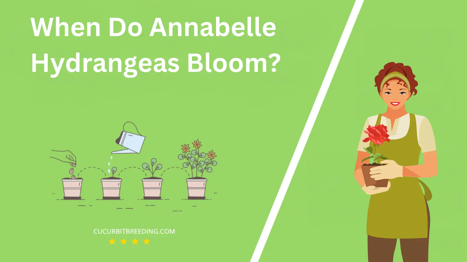 When Do Annabelle Hydrangeas Bloom?