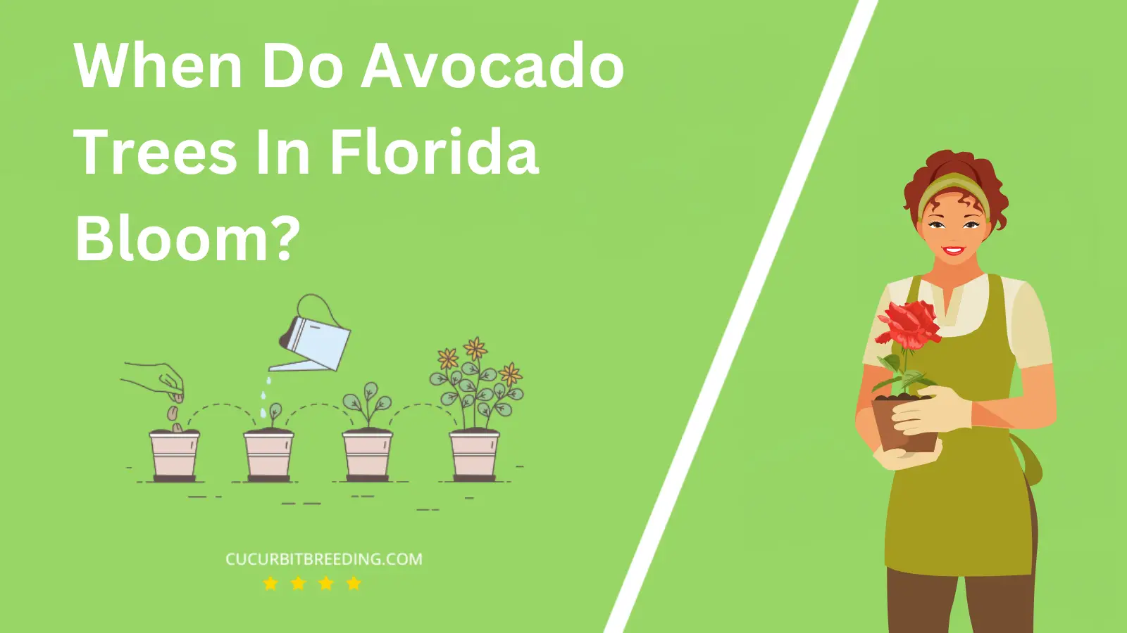 When Do Avocado Trees In Florida Bloom?