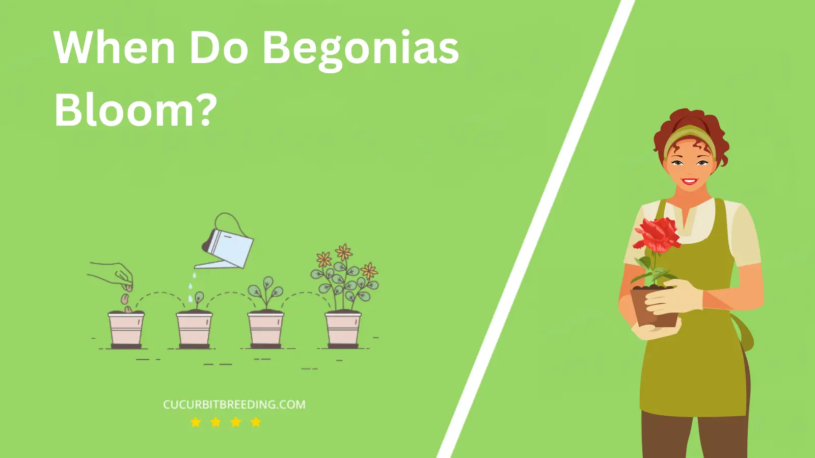 When Do Begonias Bloom?