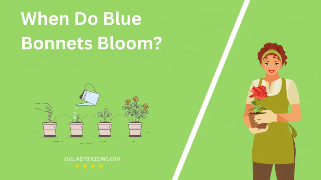When Do Blue Bonnets Bloom
