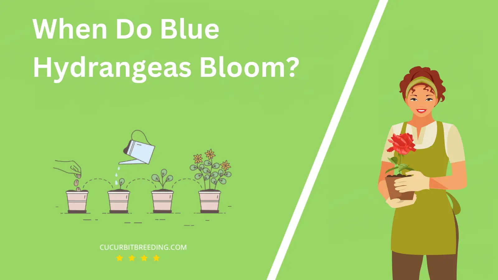When Do Blue Hydrangeas Bloom?