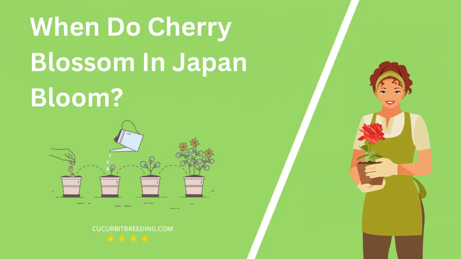 When Do Cherry Blossom In Japan Bloom?