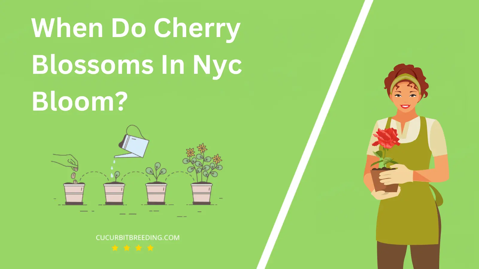 When Do Cherry Blossoms In Nyc Bloom?