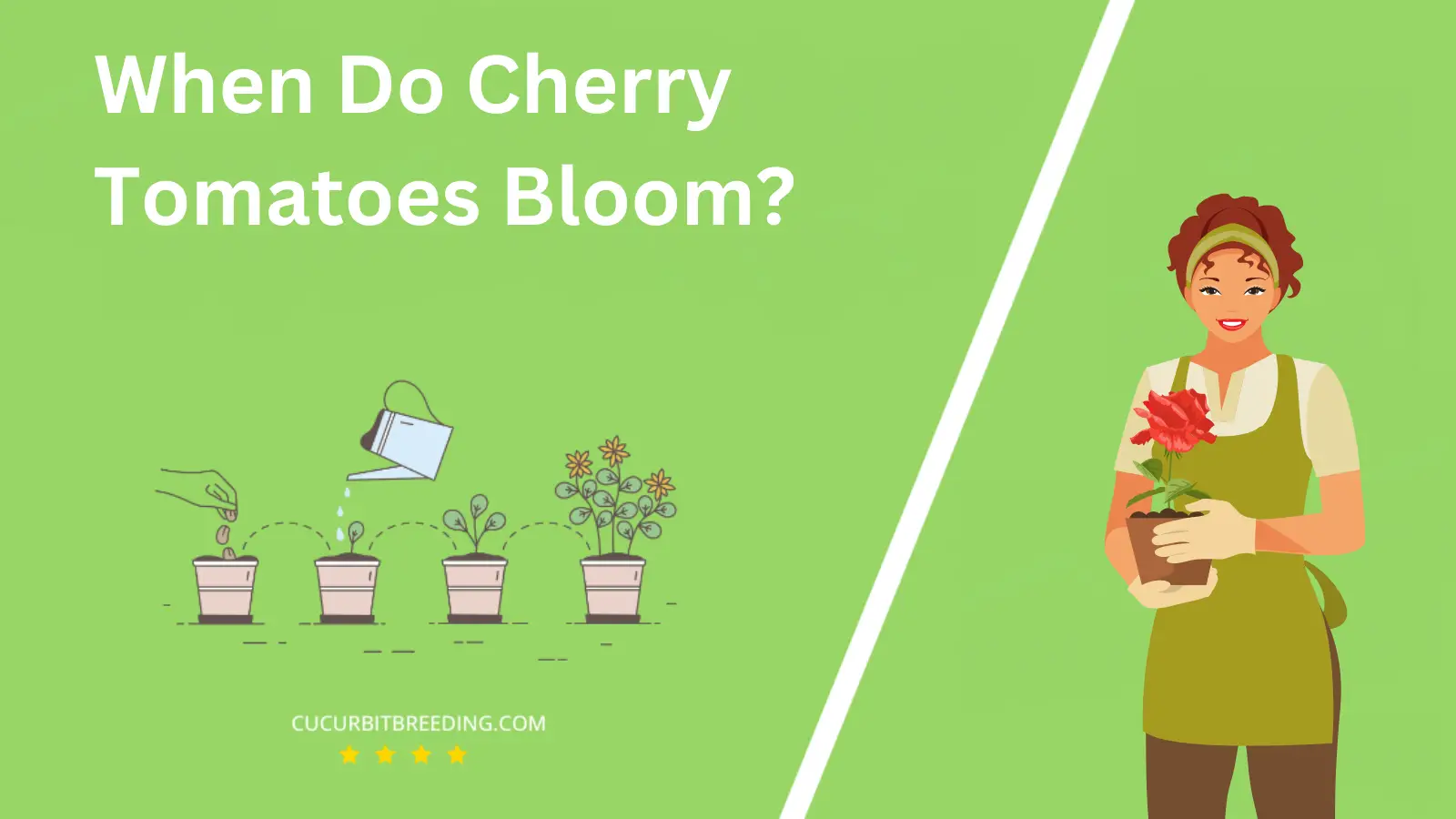 When Do Cherry Tomatoes Bloom?