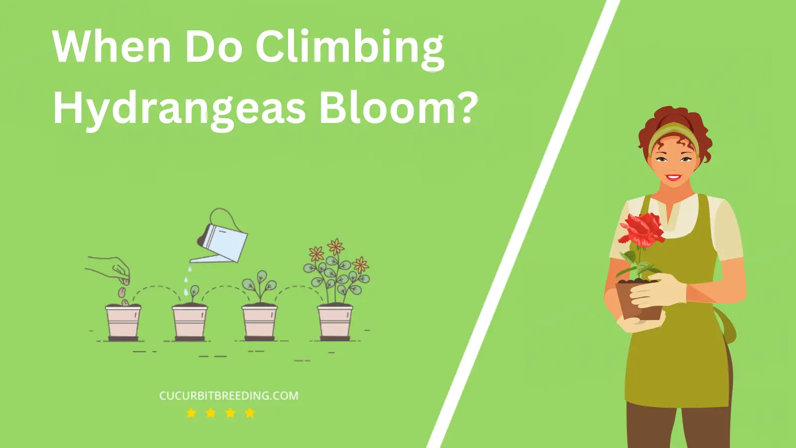 When Do Climbing Hydrangeas Bloom?