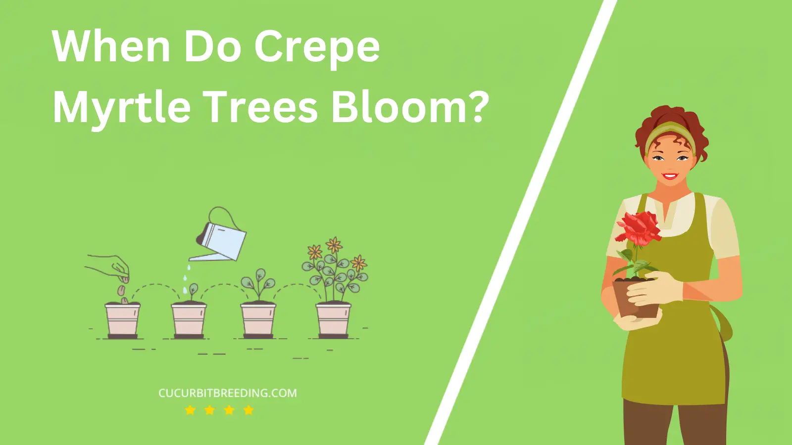 When Do Crepe Myrtle Trees Bloom?