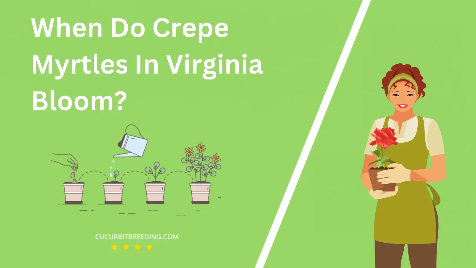 When Do Crepe Myrtles In Virginia Bloom?